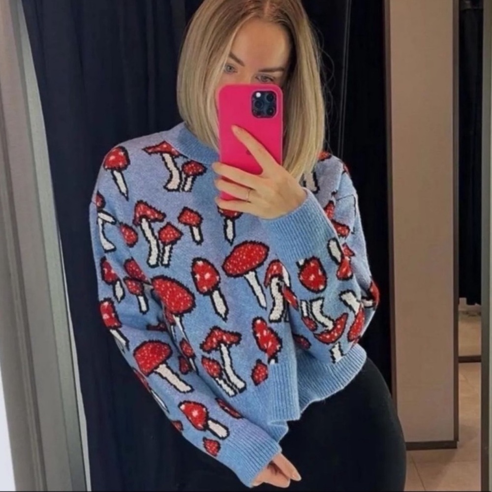 Zara Blogger's Favorite Knit Mushroom Long Sleeve Crew Neck Novelty Sweater
